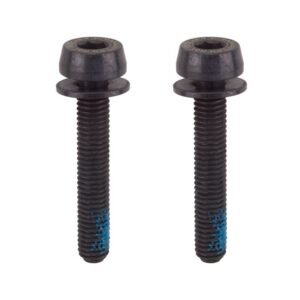 Campagnolo Disc Adapter Screws - Cpy Adapter Only 29mm Pair f/20-24mm Rear Mount Thickness
