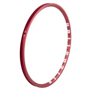 Alienation Mite G69 TCS Rim - (AM) 20 451x17 28 RD/MSW