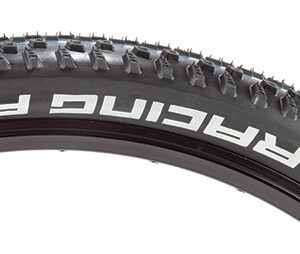 Schwalbe Racing Ray Tire - 29x2.35 Evo S-Ground BK/BSK Addix Sp-Grip TLR Folding