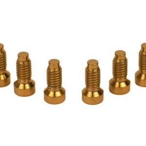 Profile Racing T20 Torx Titanium Mounting Screws