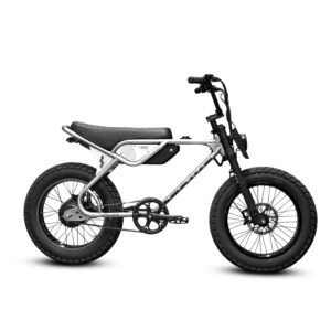 Throne Spyder 500W E-Bike