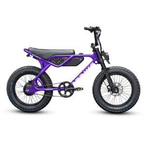 Throne Spyder 750W E-Bike