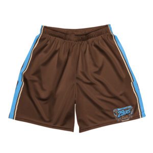 29ers Retro Race Shorts - Sky / Brown - front