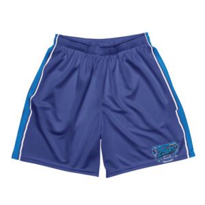 29ers Retro Race Shorts - Bomma Teal / Blue - front