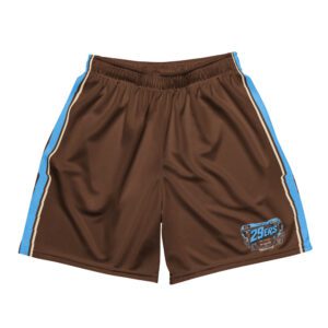29ers Retro Race Shorts - Sky / Brown - front