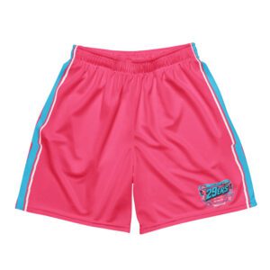 29ers Retro Race Shorts - Speedster Sky / Pink - front
