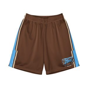 29ers Youth Retro Race Shorts - Sky / Brown - front