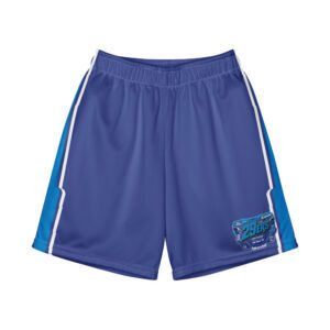 29ers Youth Retro Race Shorts - Bomma Teal / Blue - front