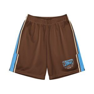 29ers Youth Retro Race Shorts - Sky / Brown - front